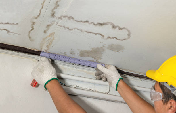 Reliable Structural Drying contractor in Wellston, MI by Water Damage Irwin